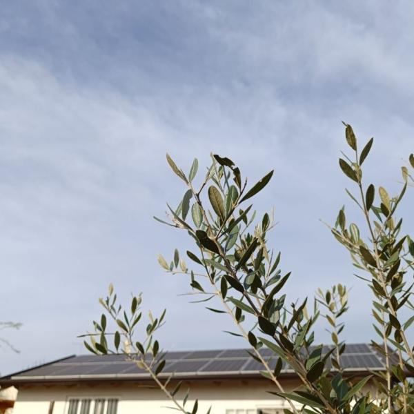 Fotovoltaico ad alta efficienza | abitazione privata | Roncade (TV)